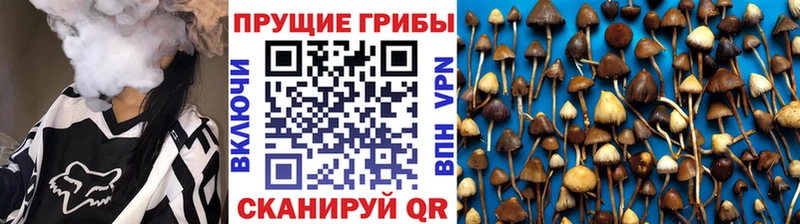 Псилоцибиновые грибы MAGIC MUSHROOMS  где купить наркотик  KRAKEN   Златоуст 
